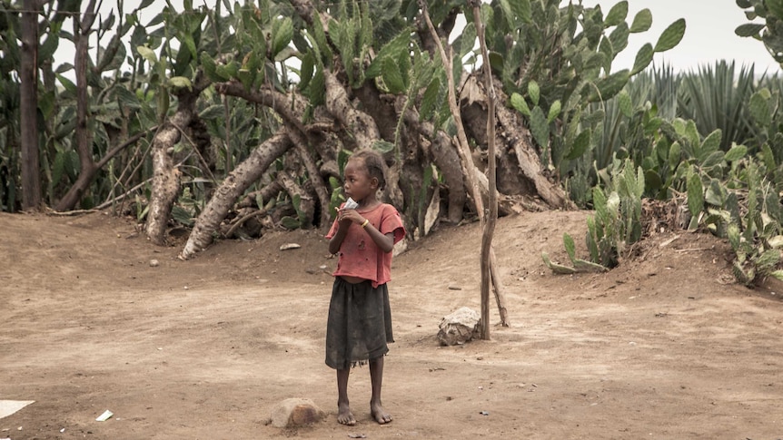 A young child stands on bare earth, surrounded by cactus plants in southern Madagascar