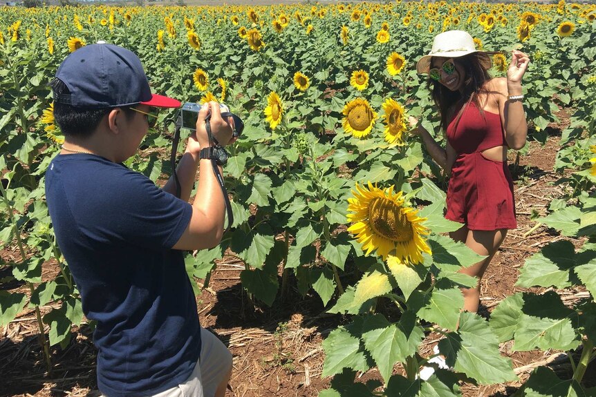 A woman with olive skin in a hat and red dress stands on a field of yellow sunflowers as a man takes her photo.