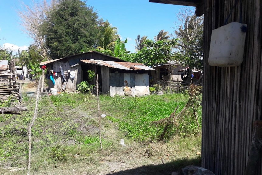 Tak ada pilihan, pengungsi asal Timor Leste memilih bertahan di pengungsian dan membangun rumah seadanya.