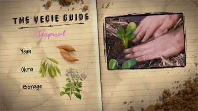 The Vegie Guide - July