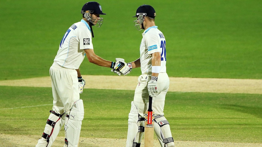 The Blues' Kurtis Patterson congratulates Peter Nevill on his 50 against South Australia