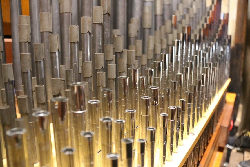 Organ pipes at St Peter's Cathedral