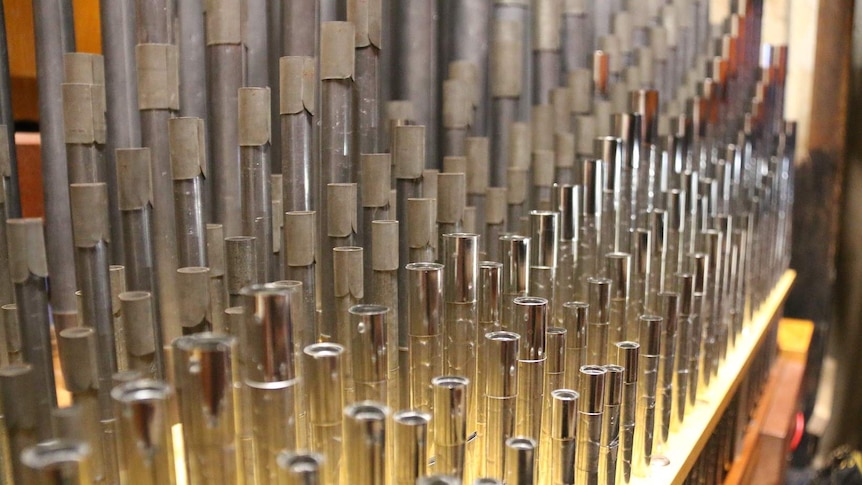 Organ pipes at St Peter's Cathedral