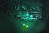 Photogrammetric model of Ottoman wreck overlaid with Supporter ROV