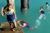 A girl looks up on the steps of the jetty while three girls swim below