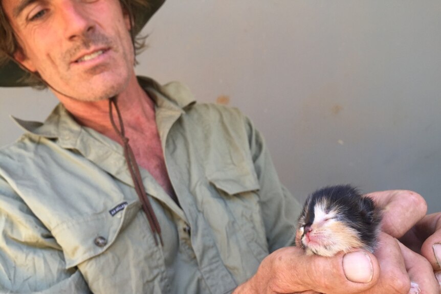 Roger Murphy with a three day old kitten at his alternative farm in Coonawarra