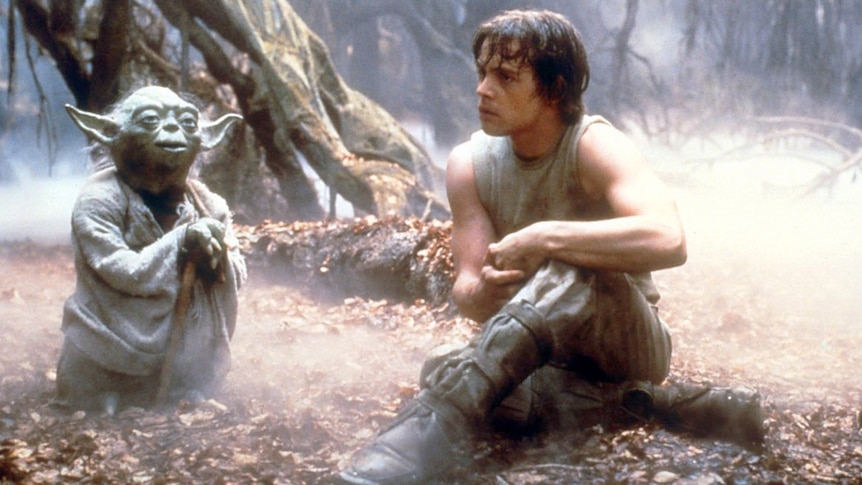 Yoda, a small green creature, sits in a forest with his human student, Luke Skywalker