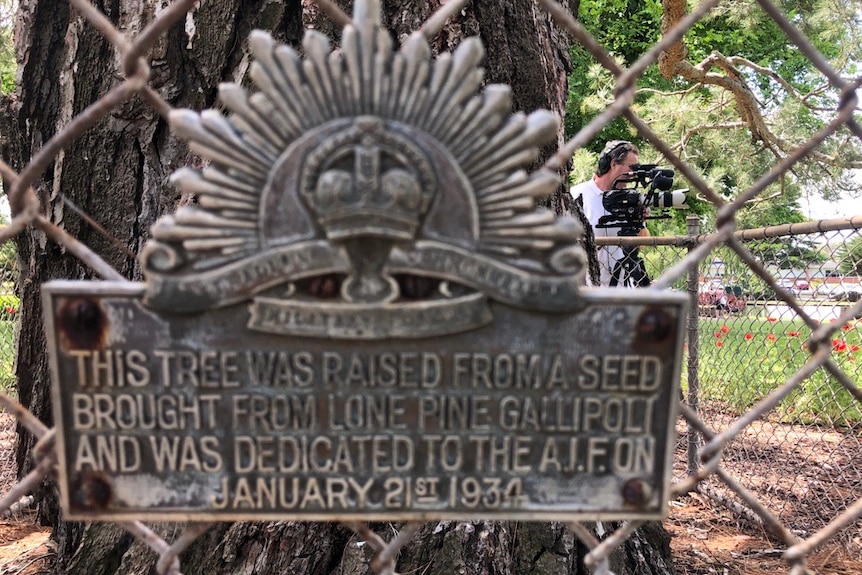 A plaque on a fence outside the pine tree with an ANZAC memorial plaque