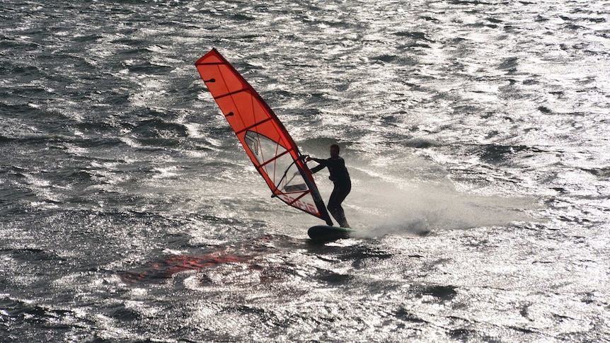 Windsurfer