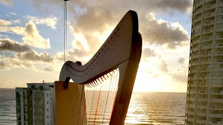 Deborah Bates' harp is silhouetted against the Gold Coast skyline from her hotel quarantine room.