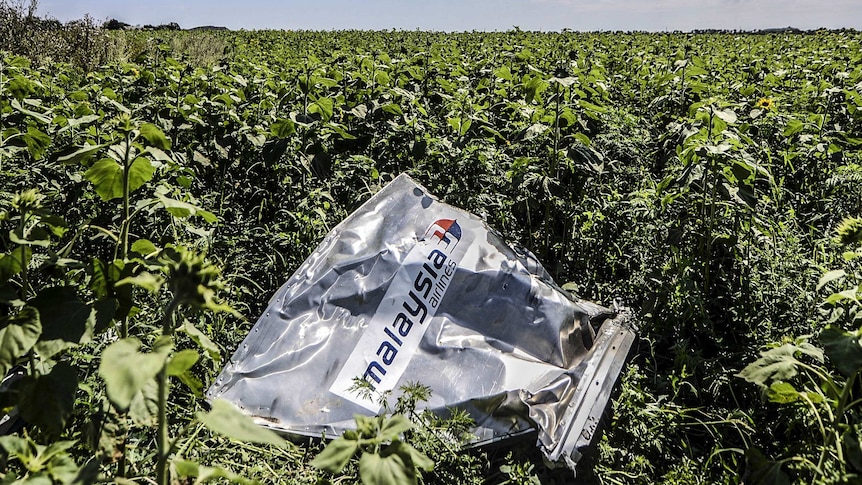 MH17 wreckage