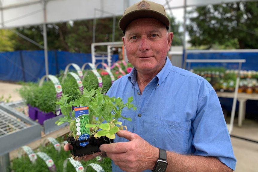 Rodney smiles while holding a seedling plant at his nursery.
