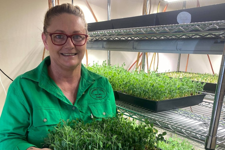 Louise Busby stands in front of a tray of microgreens on a shelf. She is wearing a green shirt and glasses