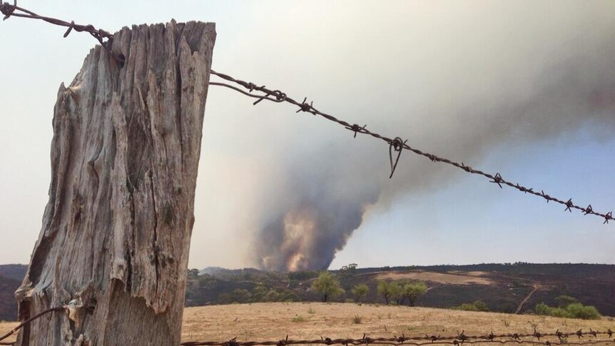 The Bangor bushfire viewed from nearby Beetaloo. It has been burning for about a month in the mid-north of SA.