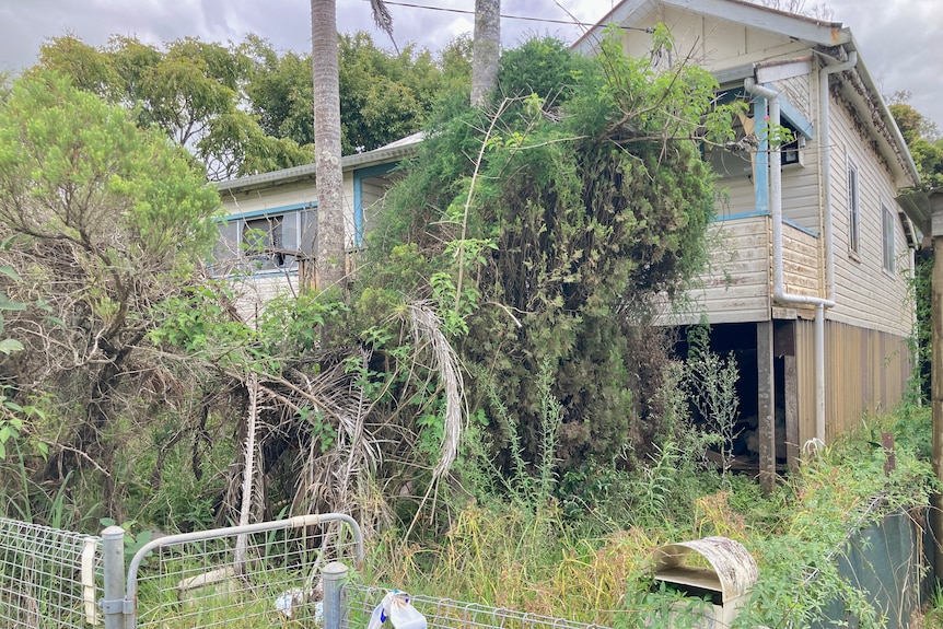 A timber home with broken windows and an overgrown garden.