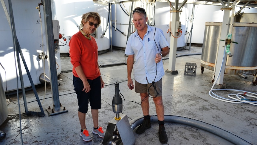 Dr Angela Sparrow and Anthony Murphy stand in a winery near her giant stick blender inside a pipe that chops up wine grape skins