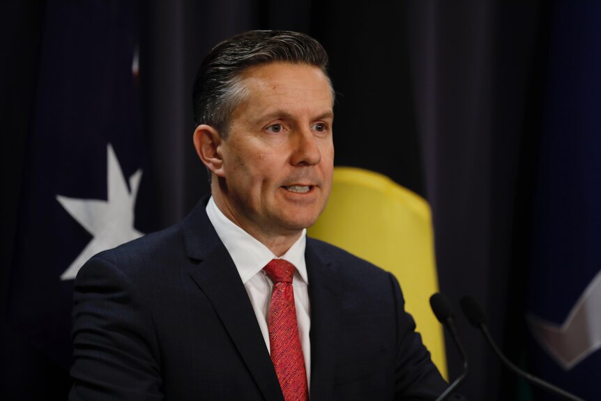 Mark Butler wearing a suit and red tie stands in front of the australian and aborignal flags during press conference