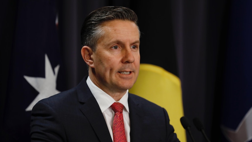 Mark Butler wearing a suit and red tie stands in front of the australian and aborignal flags during press conference