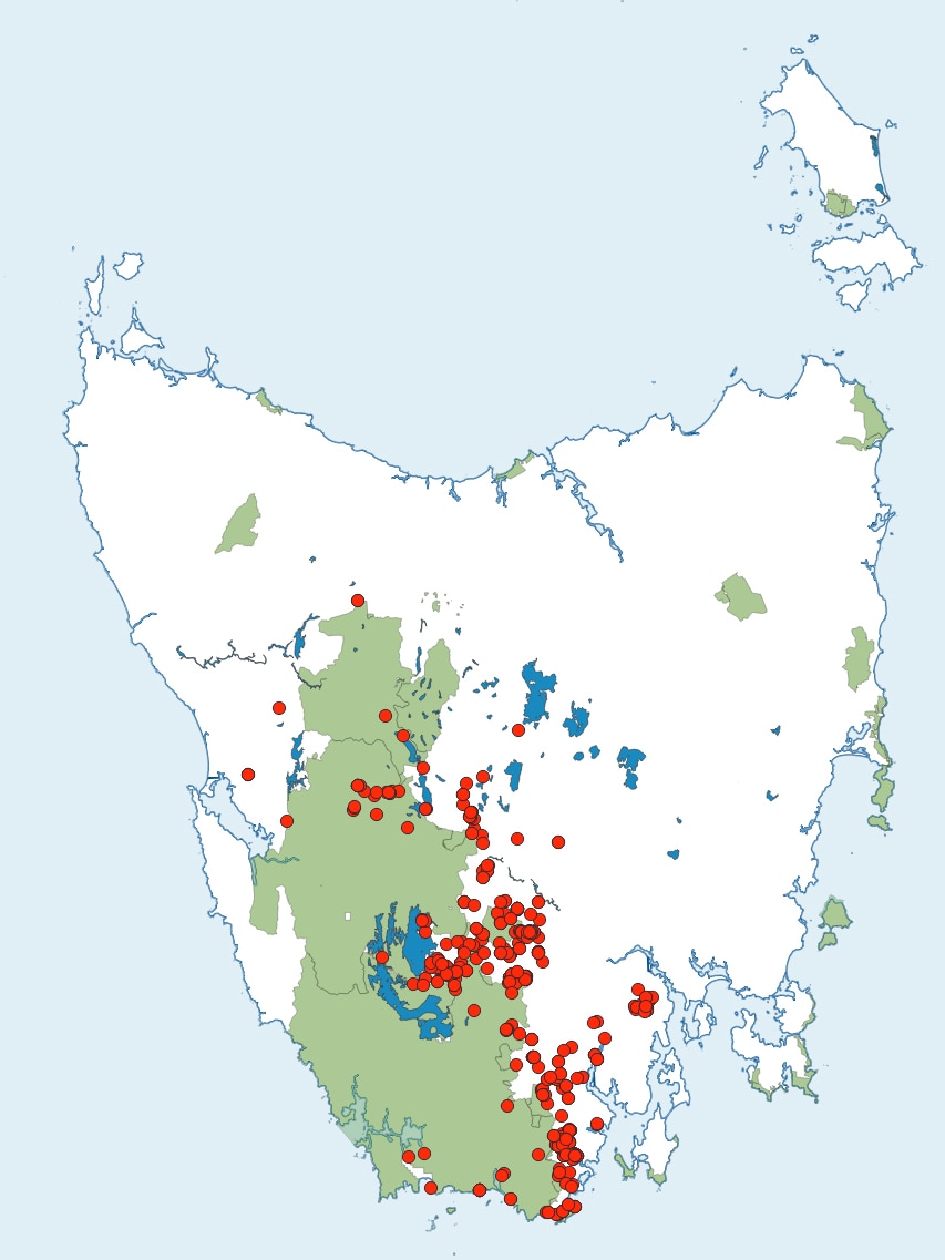 A map showing Tasmania with many dots across the south and south west.