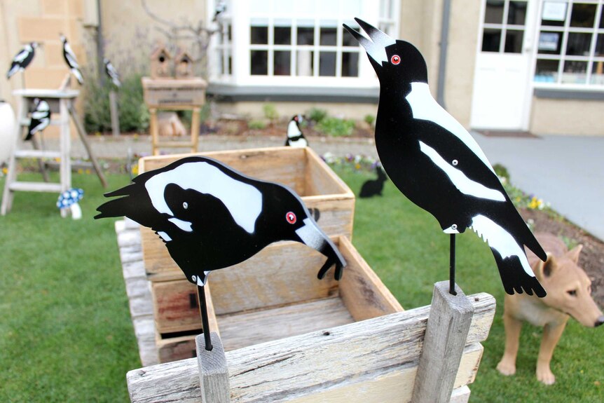 A number of magpies on front of Mr Wilson's store in Richmond, 13 August 2014.