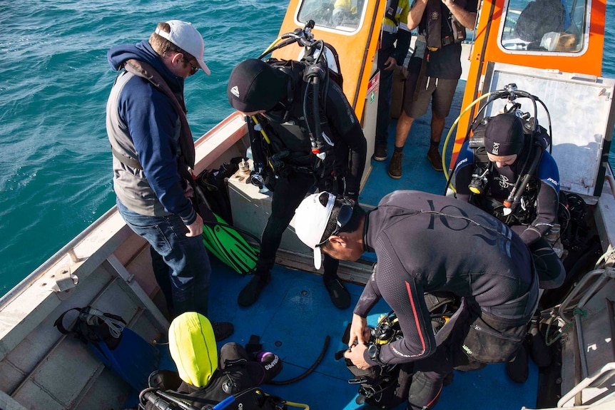 Archaeologists pictured are preparing oxygen tanks as they get ready to go underwater looking for signs of ancient life.