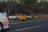Sign warning of animals on the Bruce Highway.