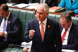 Prime Minister Malcolm Turnbull gestures with his fist during Question Time, November 28, 2016.