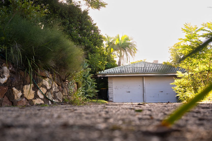 A shed and a driveway