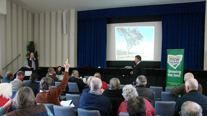 Wild dog meeting in Cooma