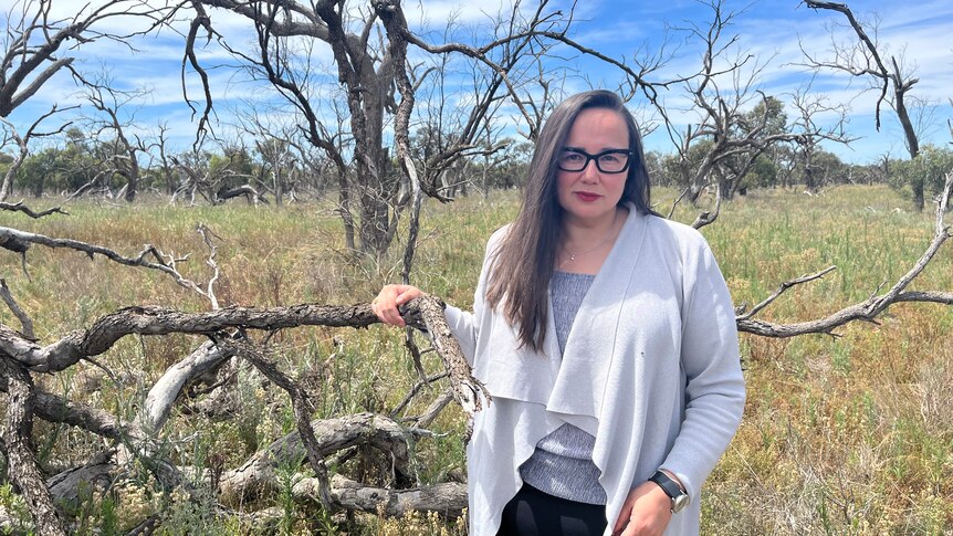 Victorian Water Minister stands beside a dead black box gum tree on the Hattah North floodplain.