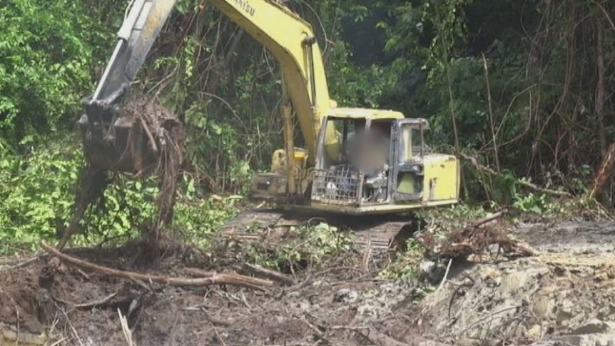 A Wilmar supplier clearing land in Sumatra for a palm oil plantation