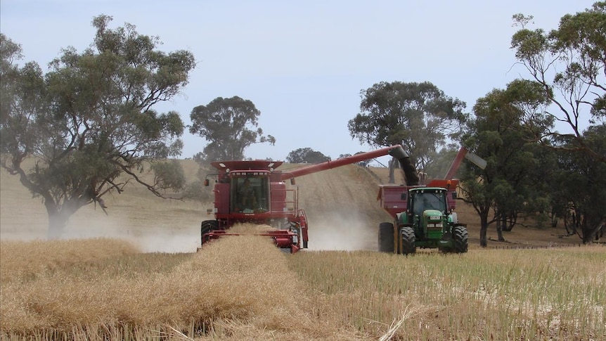 Header and chaser bin