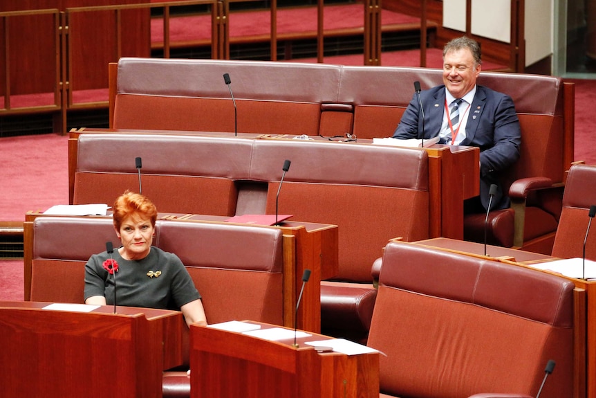 Senators Pauline Hanson and Rod Culleton in the Upper House on November 7, 2016.