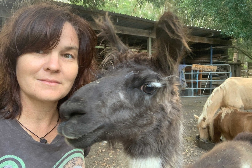 Woman with brown hair stands next to a brown headed llama in front of a feeding shed.