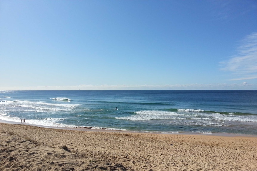 Shelly Beach at Wyong