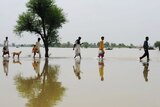 Flood survivors wade through water