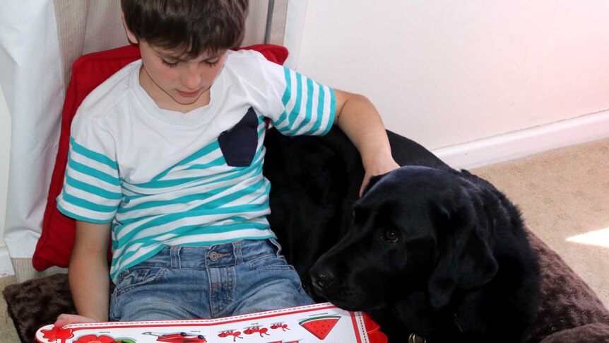 A young boy in a striped t-shirt reads a picture book, while resting one hand on a black labrador.