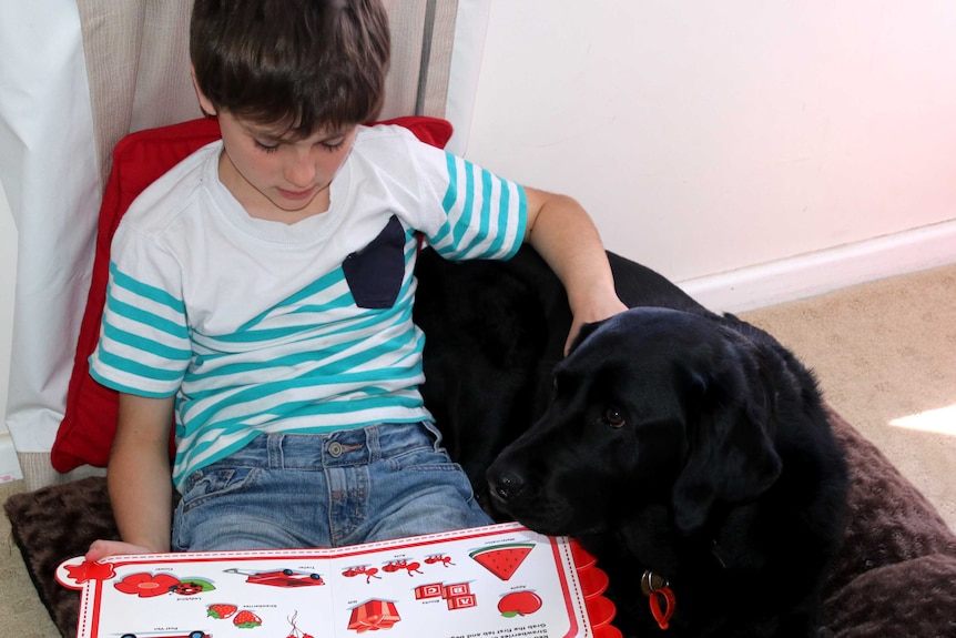 A young boy in a striped t-shirt reads a picture book, while resting one hand on a black labrador.