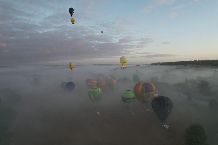 Hot air balloons take off in morning fog.