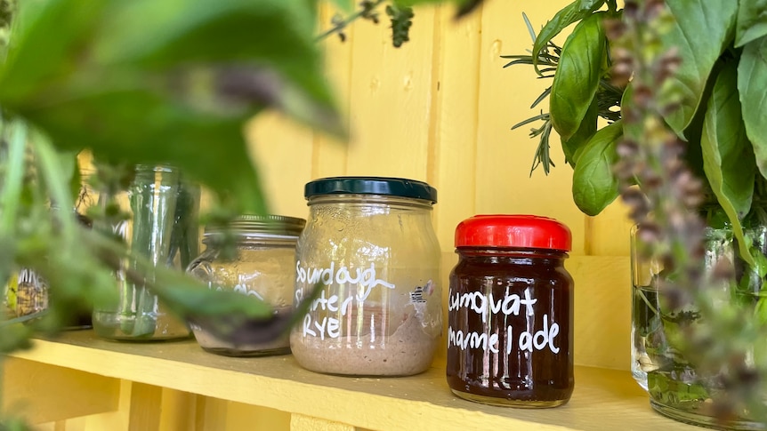 An image of jars of cumquat marmalade, sourdough starter on yellow shelf with herbs framing photo