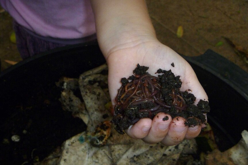a child holds a handful of worms