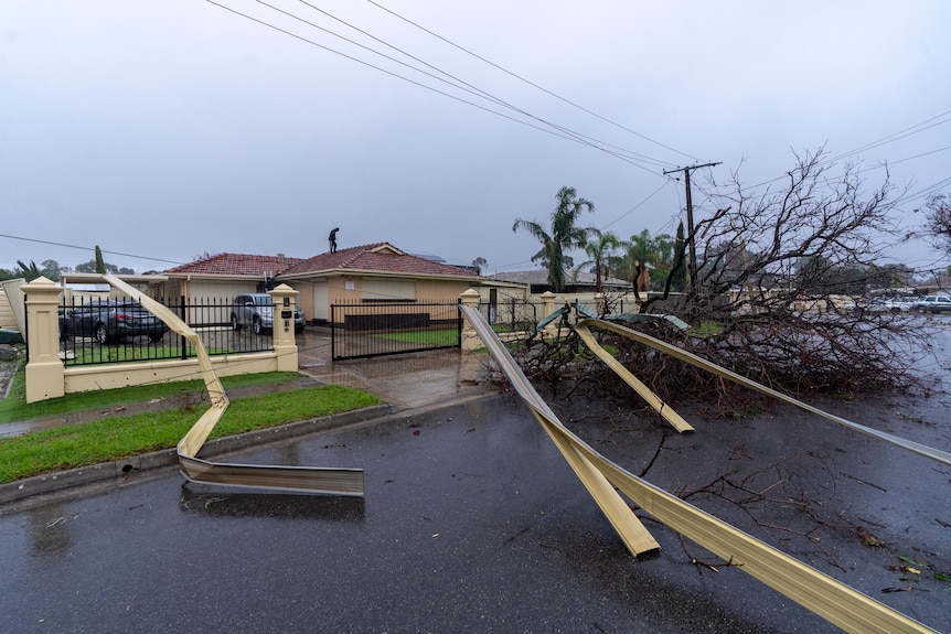 Home with a fallen tree in the front yard and damaged fencing