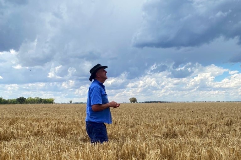 A man standing in a paddock looking up to the grey clouds.
