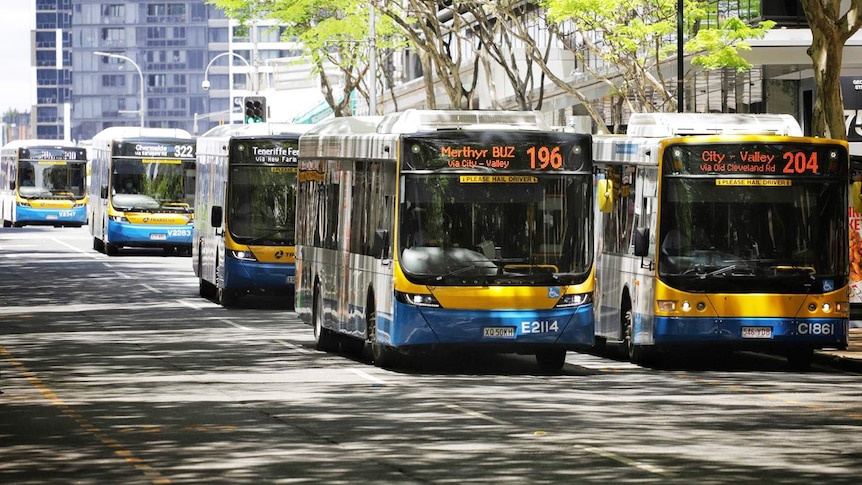 Buses in Adelaide Street in Brisbane city on January 11, 2021.