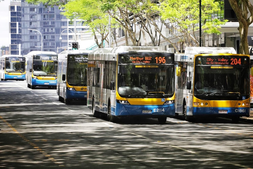 Buses in Adelaide Street in Brisbane city on January 11, 2021.