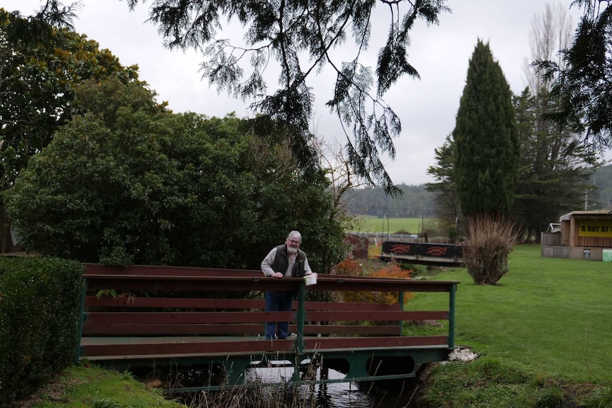 Man standing on small wooden bridge that crosses a narrow stream, which cuts through very green grass.