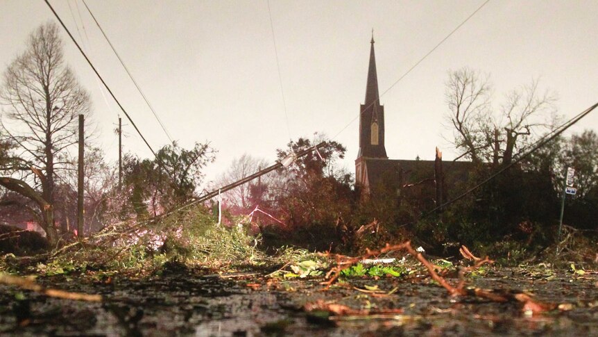 Downed trees, power lines left behind by Alabama tornado