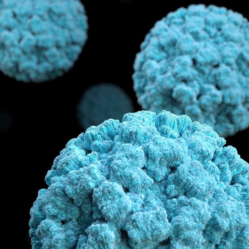 Electron microscope images of norovirus