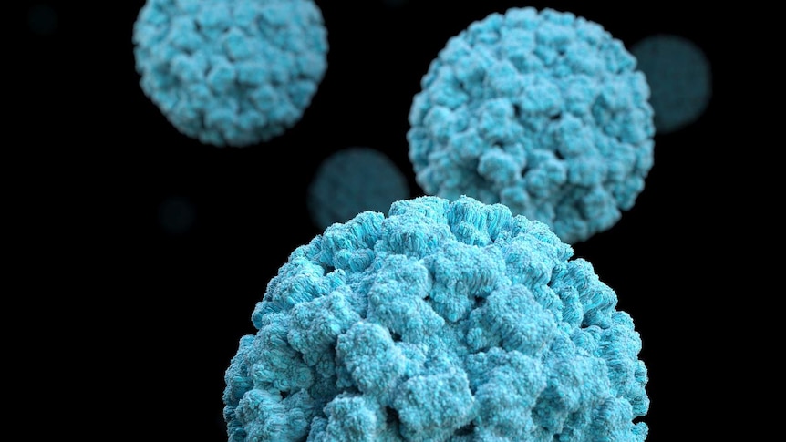 Electron microscope images of norovirus