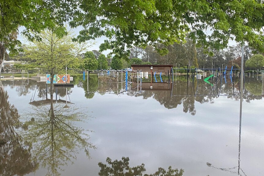 Flooding around a playground and trees creates reflections in the water. 